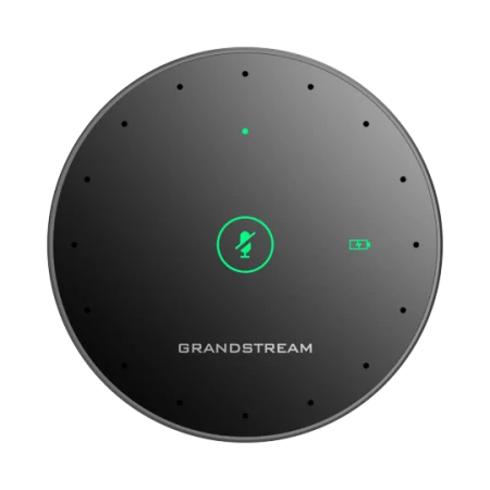 Grandstream GMD1208