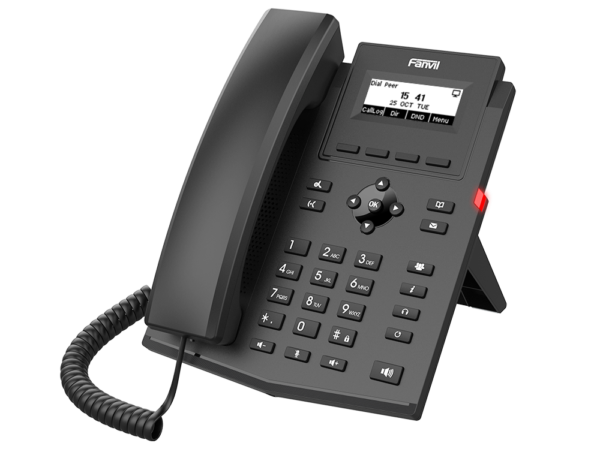 X301P